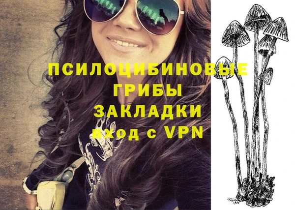 крисы Зерноград