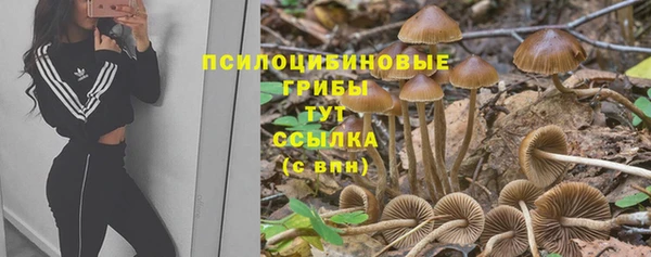 крисы Зерноград