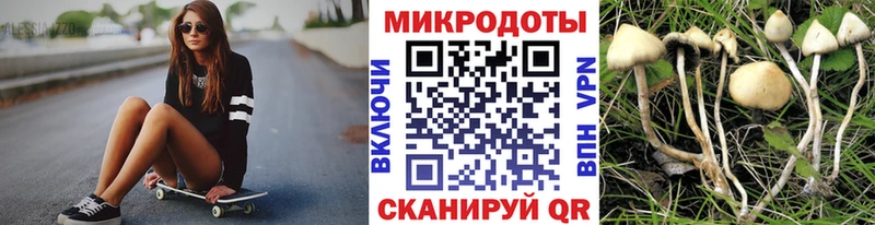 Купить  Демидов  Псилоцибиновые грибы прущие грибы 